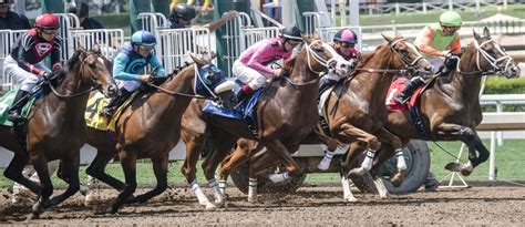 emirates stakes form guide|Emirates Racing Authority.